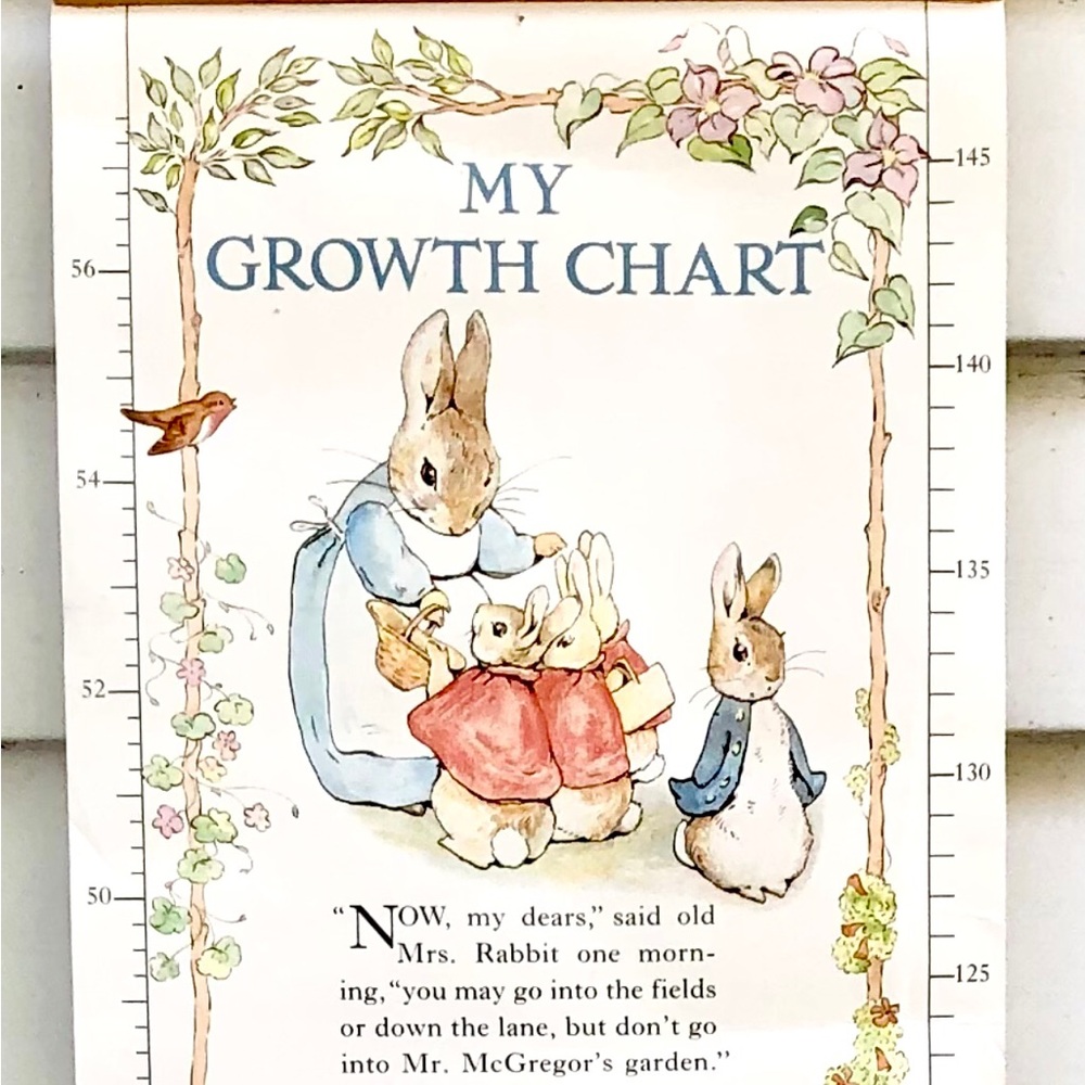 My Growth Chart Peter Rabbit Wall Hanging Beatrix Potter vintage